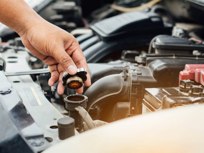 A persons hand is opening the radiator cap of a car engine. The engine parts are visible, including the battery and various tubes and components. Sunlight softly illuminates the scene.